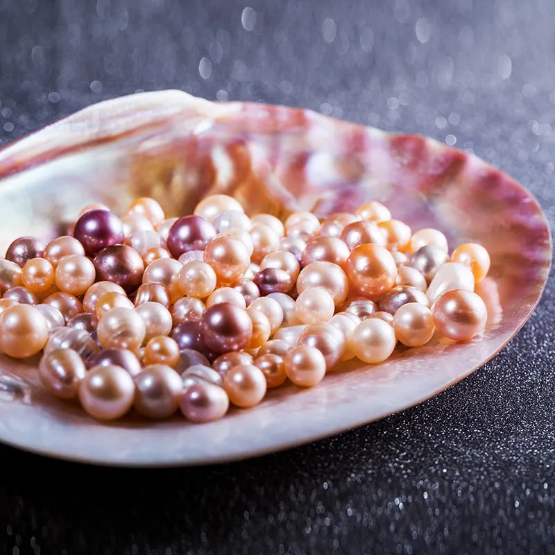 016.【NEWBIE】 Purple PEBBLES
