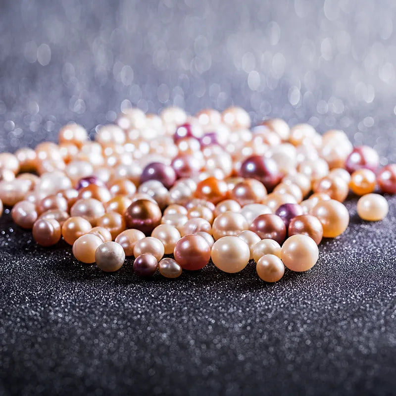 016.【NEWBIE】 Purple PEBBLES