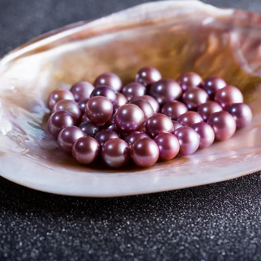 016.【NEWBIE】 Purple PEBBLES