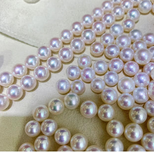 036.【Live】Aurora Freshwater pearl Clam (white,pink,silver blue)